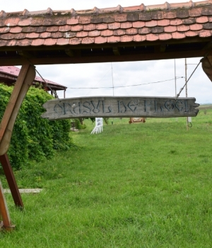 Bujori