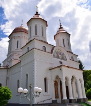 Bujori