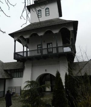 DSCN3570