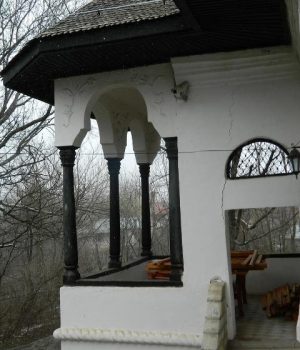DSCN3590