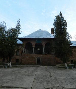 DSCN4325