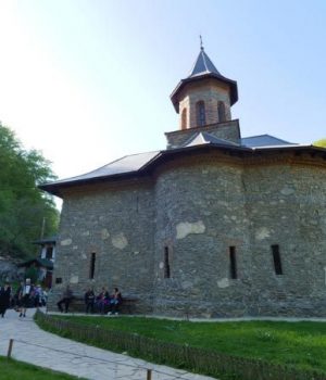 P1022168
