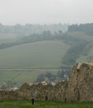 DSCN6302